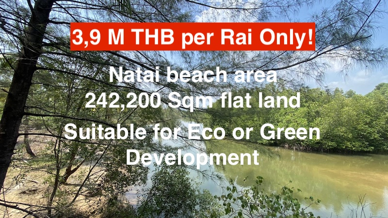 Photo Immense terrain à vendre près de la plage de Natai à Phang Nga
