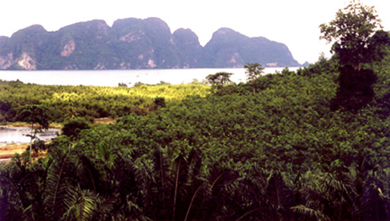  Picture land for sale with stunning view of Phang Nga Bay.