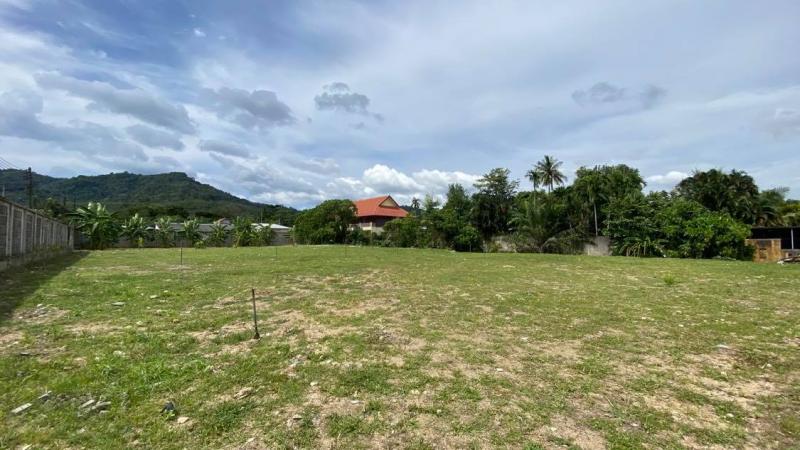 Picture Plot with a size of 1893 Sqm for sale in a residential area of Rawai