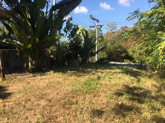 Picture 3087 m2 of land for sale in a residential location of Rawai, Phuket