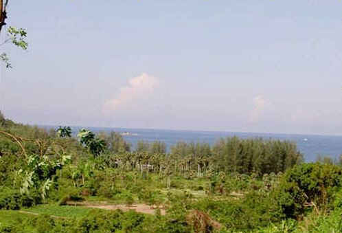  Picture Phuket Sea view land for sale Nai Thon Beach with Chanote