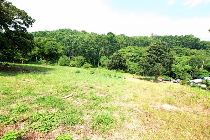 Picture Nai Harn plot for sale with a size of 5376 m2