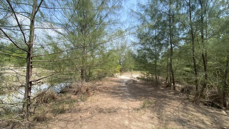 Photo Big land plot for sale at Natai Beach 