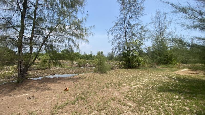 Photo Big land plot for sale at Natai Beach 