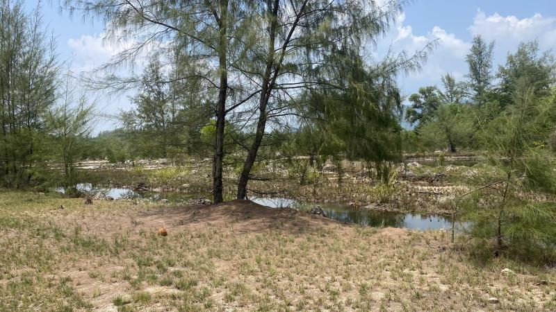 Photo Big land plot for sale at Natai Beach 