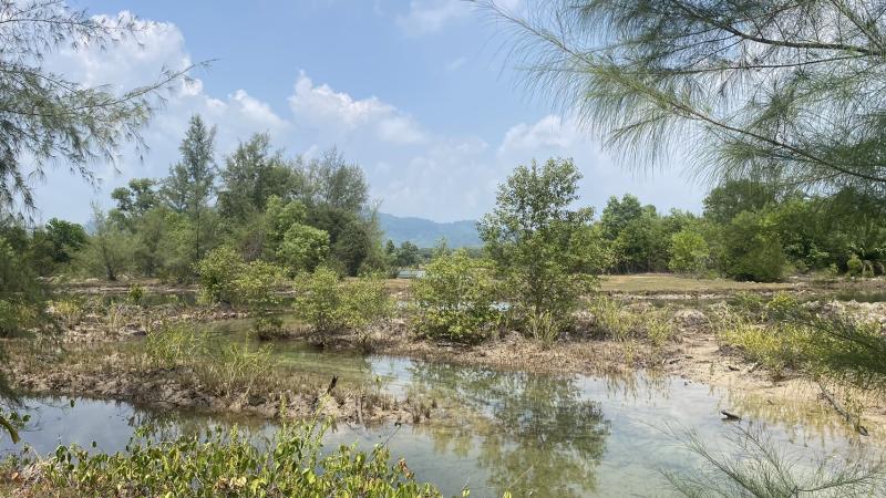 Photo Immense terrain à vendre près de la plage de Natai à Phang Nga