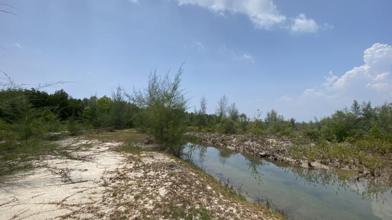 Photo Big land plot for sale at Natai Beach 