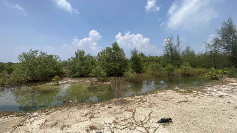 Photo Big land plot for sale at Natai Beach 