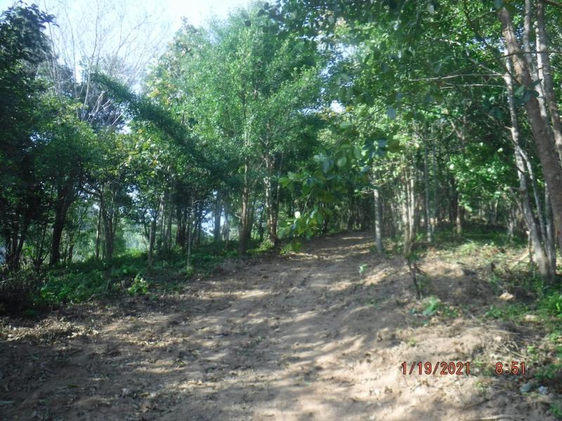 Photo Hillside Land for sale in Cherngtalay, Phuket