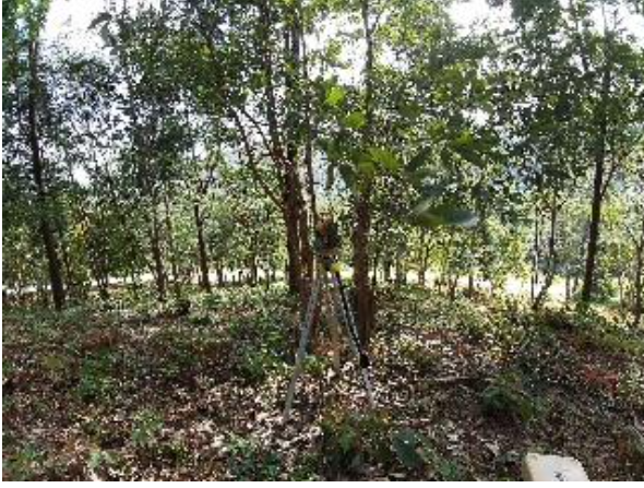 Photo Hillside Land for sale in Cherngtalay, Phuket