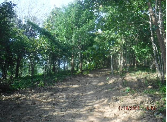 Photo Hillside Land for sale in Cherngtalay, Phuket