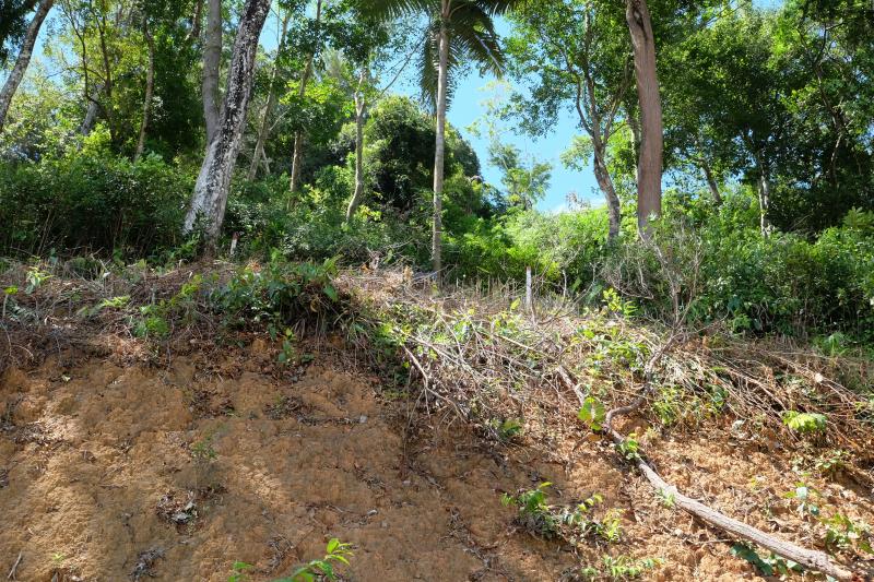 Photo Thailand-Land for sale in Kathu, Phuket, Thailand