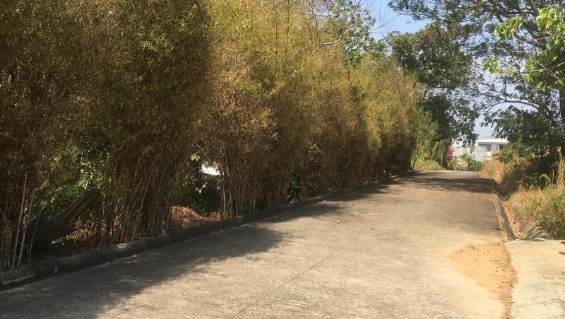 Photo Land for sale in Soi Saiyuan, Rawai, Phuket 