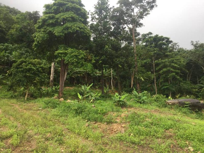 Photo Phuket-Beautiful land in Kamala for sale with Sea and Mountain Views