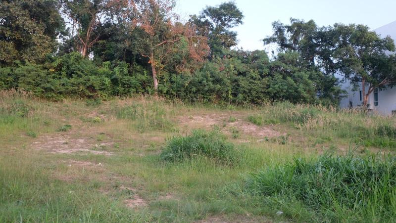 Photo Phuket prime land for sale in Sai Yuan, Rawai 