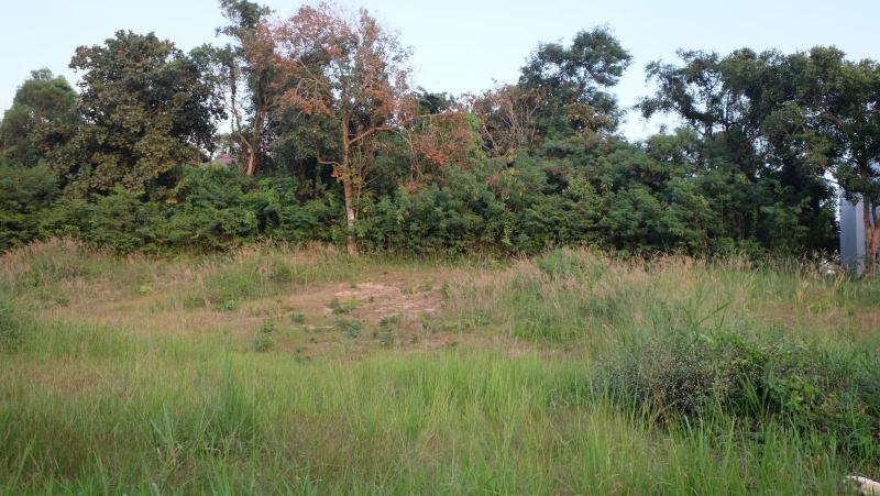 Photo Phuket prime land for sale in Sai Yuan, Rawai 