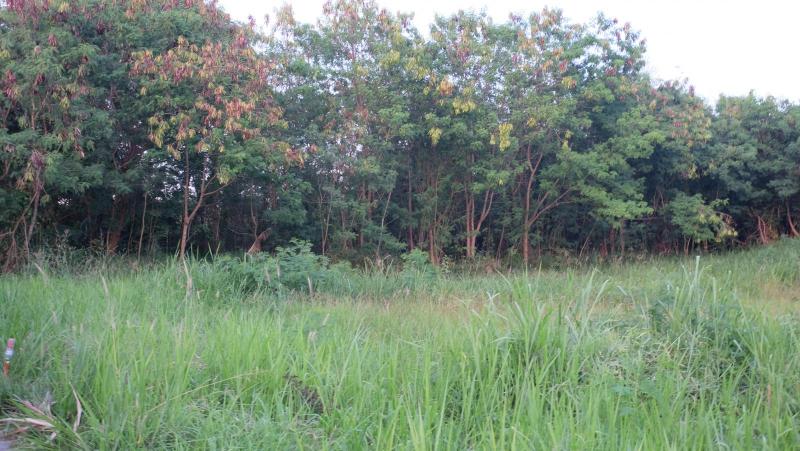 Photo Phuket prime land for sale in Sai Yuan, Rawai 