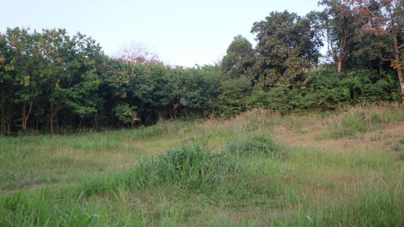 Photo Phuket prime land for sale in Sai Yuan, Rawai 