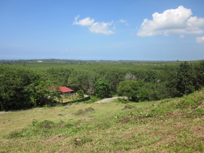 Photo Phuket Sea View Land in Mai Khao for Sale