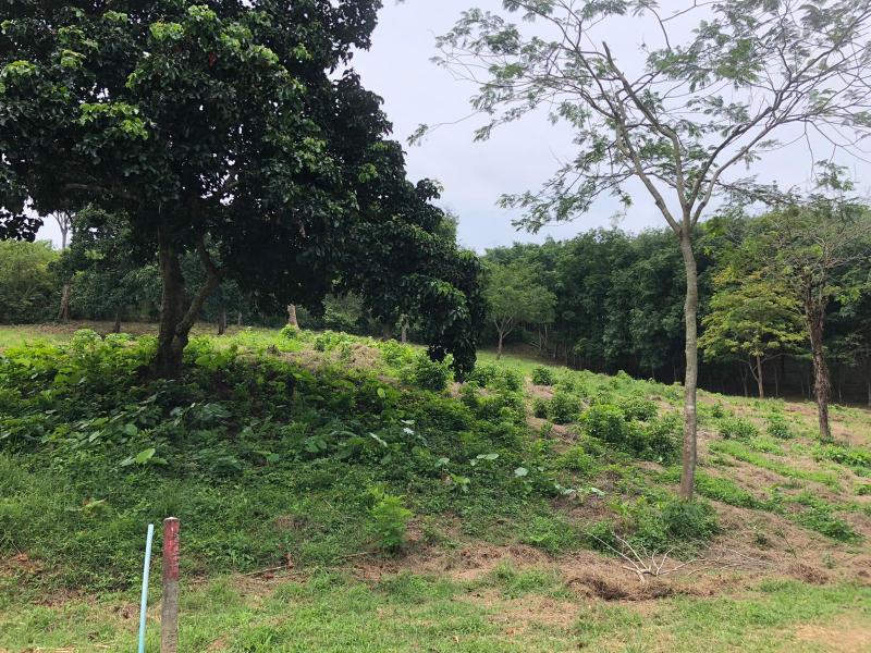 Photo Superb plot of land for Sale in Nai Harn, Phuket